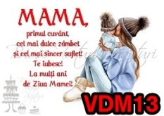 VDM13