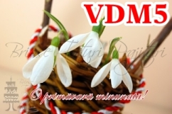 VDM5