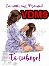 VDM9