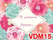 VDM15