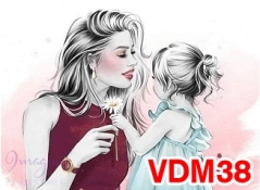 VDM38