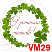 VM29